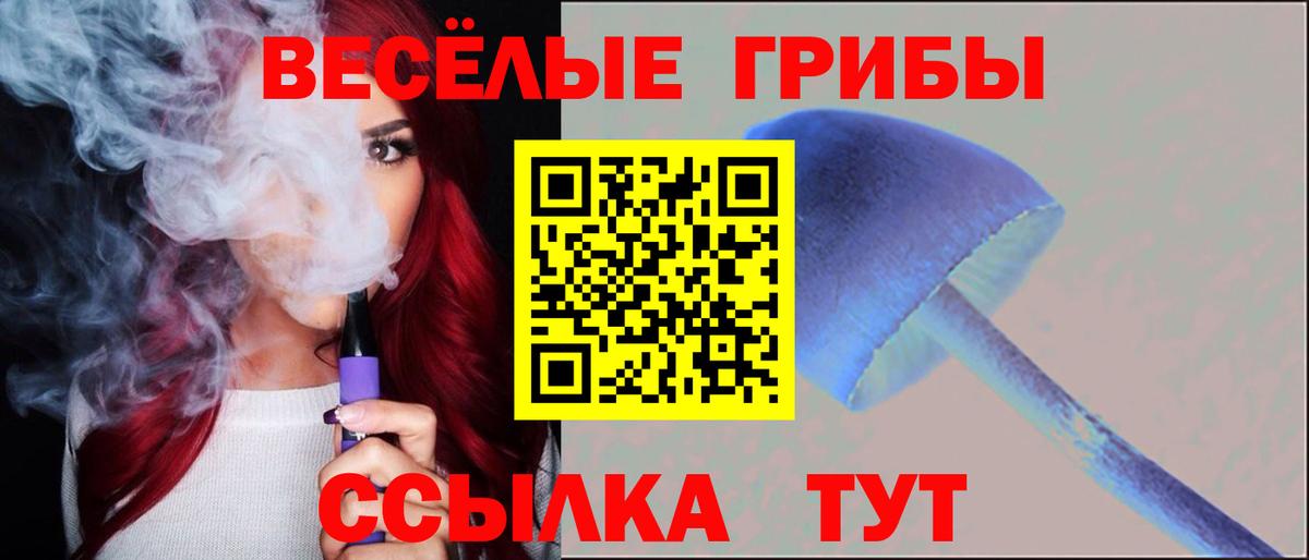 Псилоцибиновые грибы Cubensis Бахчисарай
